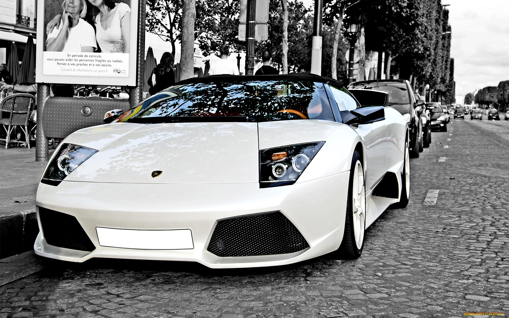 , lamborghini